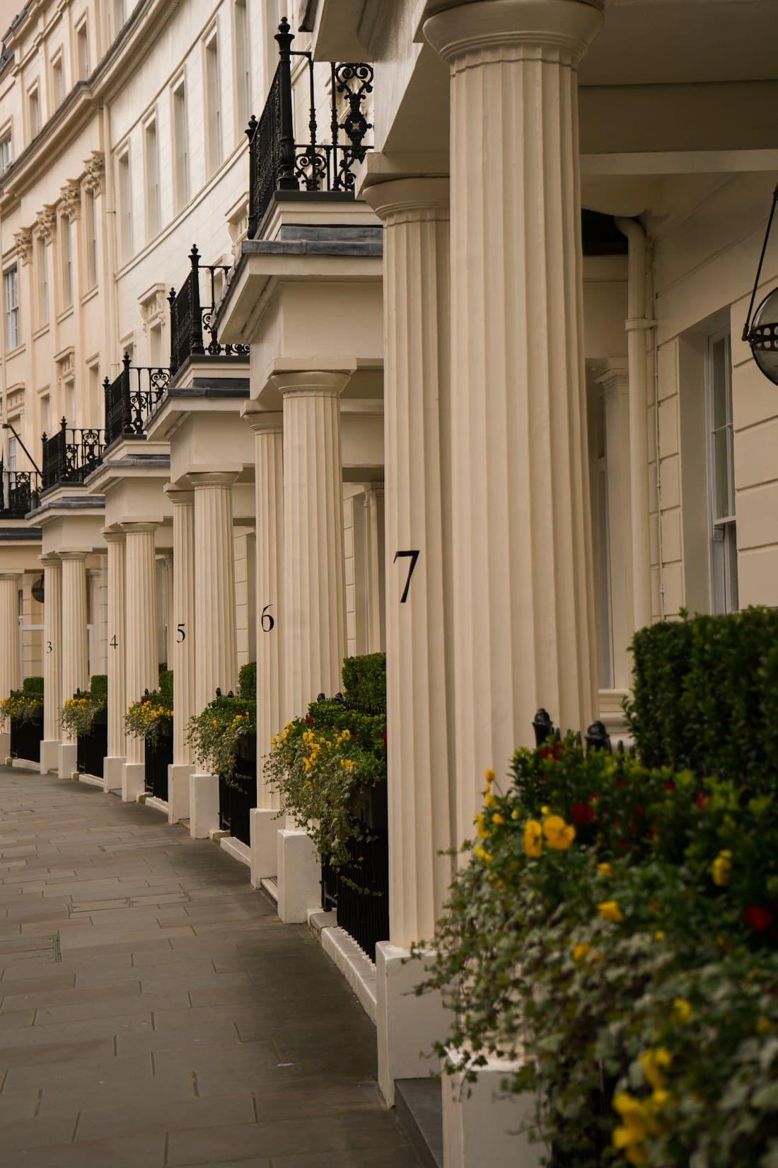 White stucco London terrace in morning light
